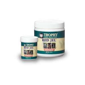  Red Jel Anti Bacterial and Anti Fungal Ointment, 4 oz 