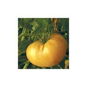 Dr. Wyches Tomato   1/4 lb. Grocery & Gourmet Food