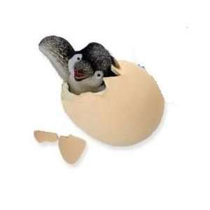  GeoCentral Hatchems Penguin Egg Growing Pet Toys & Games