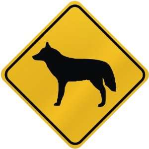  ONLY  WOLFDOG  CROSSING SIGN DOG