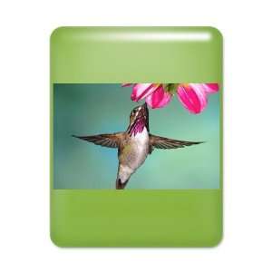  iPad Case Key Lime Male Calliope Hummingbird Everything 