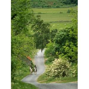 Northumberland, Harbottle, Horseriding Along a Country Lane, England 