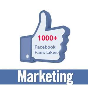  1,000+ Facebook Likes Delivery in 24 48 Hours Everything 