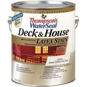 Thompsons 1G Super White Deck & House Solid Latex Waterproofing Stain