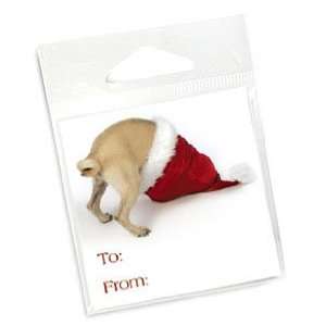  Funny Sniffing Pug Dog in Santa Hat Christmas Holiday Gift 