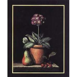  Purple Auricula and Fruit By Amelia Keiser Highest Quality 