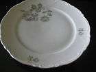   Dinner plate, excellent condition items in Beau Zest 