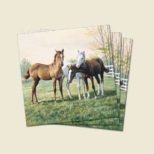 Yearlings Napkins 