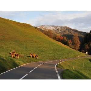 Road, Hasliberg, Berner Oberland, Switzerland, Europe Photographic 