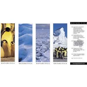  Bookmark Set of 4   Images of Antarctica