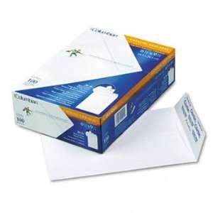   Envelope ENVELOPE,CAT6.5X9.5,28#WE (Pack of 4)