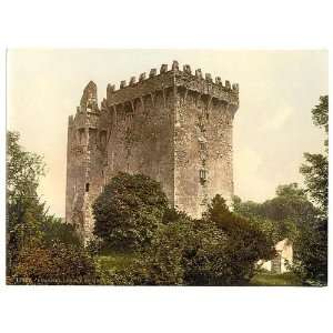  Photochrom Reprint of Blarney Castle. Co. Cork, Ireland 