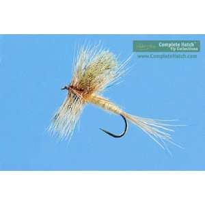   Box, Fly by Fly Fishing Instructions 