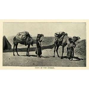 1901 Print Ships Desert Camels Transportation Animals Trade   Original 