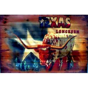 Lodge Cabin Rustic Decor Texas Longhorn Plank Picture Hanging Wall Art