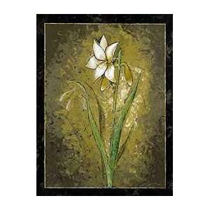   Of A Lily   Artist Julia Bonet  Poster Size 12 X 16