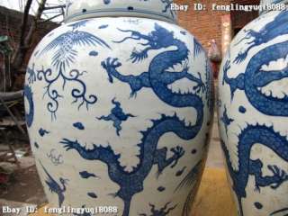 China Blue and white porcelain Dragon phenix Vase Pair  