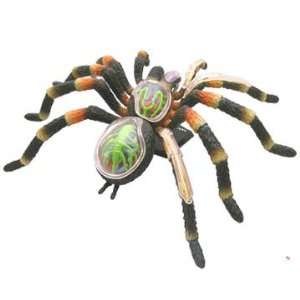  4D Tarantula Spider Anatomy Model Toys & Games