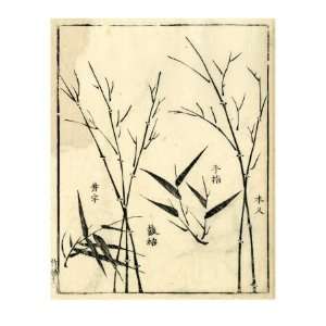  Bamboo Woodblock II Giclee Poster Print by Vision Studio 