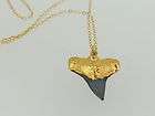 AMAZING Shark Tooth Necklace Shark Teeth with 24k gold