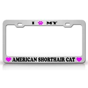  I PAW MY AMERICAN WIREHAIR Cat Pet Animal High Quality 