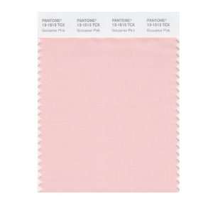  PANTONE SMART 13 1513X Color Swatch Card, Gossamer Pink 