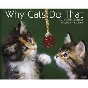  Why Cats Do That 2008 Wall Calendar
