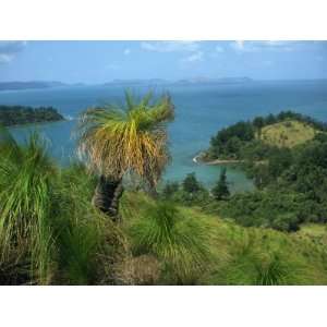 View over Oyster Bay, South Molle Island, Whitsundays, Queensland 