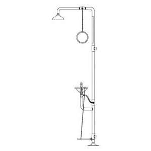Safe T Zone Floor Mount Combination Shower with Eyewash, Twin Aerated 