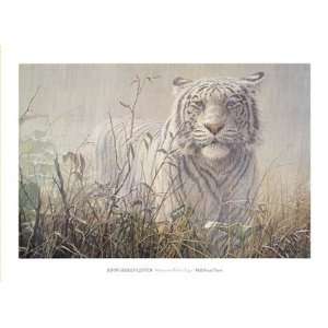 Monsoon  White Tiger (detail) by John Seerey Lester 36x26  