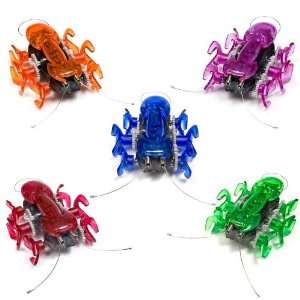  5 Pack Hexbug Ant Toys & Games