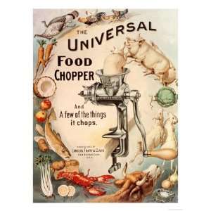  Food Choppers Mincers the Universal Cooking Appliances 