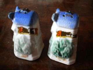 We have a vintage pair of pretty windmill salt and pepper shakers 