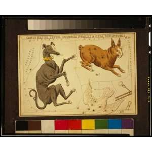  1825 Canis Major,Lepus,Columba Noachi & Cela Sculptoris 