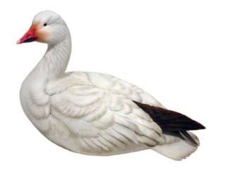 Life Size Snow Goose by Loon Lake Decoy  