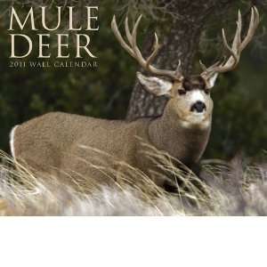  Mule Deer 2011 Wall Calendar