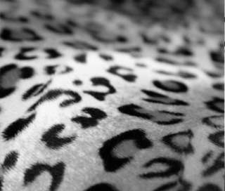 NEW UNIVERSAL SNOW LEOPARD CAR SEAT COVERS STEERING SET  