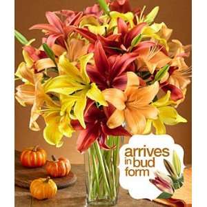 Deluxe Royal Autumn Lilies  Grocery & Gourmet Food