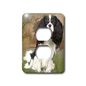 Dogs Cavalier King Charles Spaniel   Cavalier Spaniel   Light Switch 