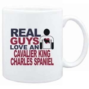   guys love a Cavalier King Charles Spaniel  Dogs