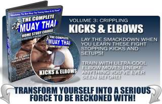 Using the Muay Thai Kick Learn and appreciate these important points 
