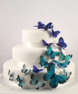 Butterfly Theme Cake Set Wedding Spring Bridal Shower  