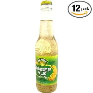 Dr. Tima GINGER ALE   Honey Ginger Ale is just what Dr. Tima ordered 