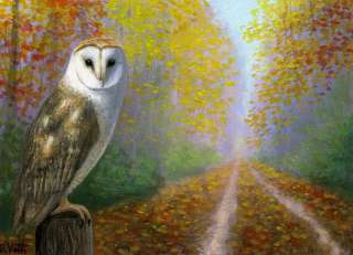 Barn owl autumn road limited edition aceo print art  