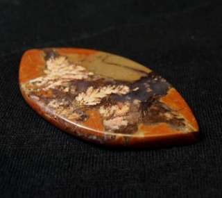 Priday Plume Agate Collectors Cabochon HS WoW  