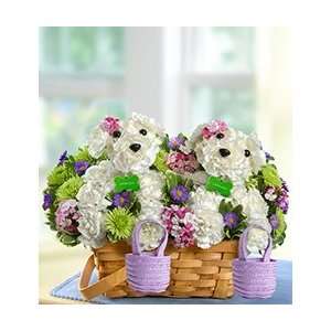 Flowers by 1800Flowers   Furever Friends Grocery & Gourmet Food