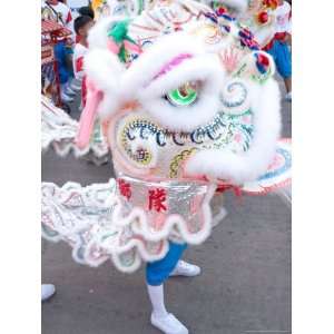  Dancer in Lion Costume at Chinese Thanksgiving Festival 