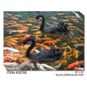  All Weather Art Black Swan & Koi Fish 