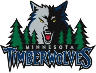 NBA KEVIN GARNETT Minnesota TimberWolves Alternate Swingman Jersey 