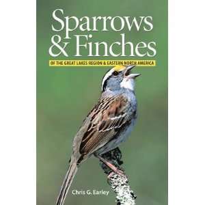  New Firefly Sparrows And Finches Field Guide To 60 